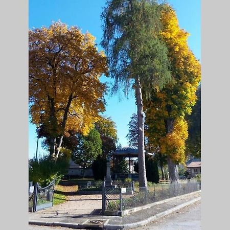 Granges-sur-Vologne Maison Independ. 6 Personnes A 10 Mn De Gerardmer מראה חיצוני תמונה