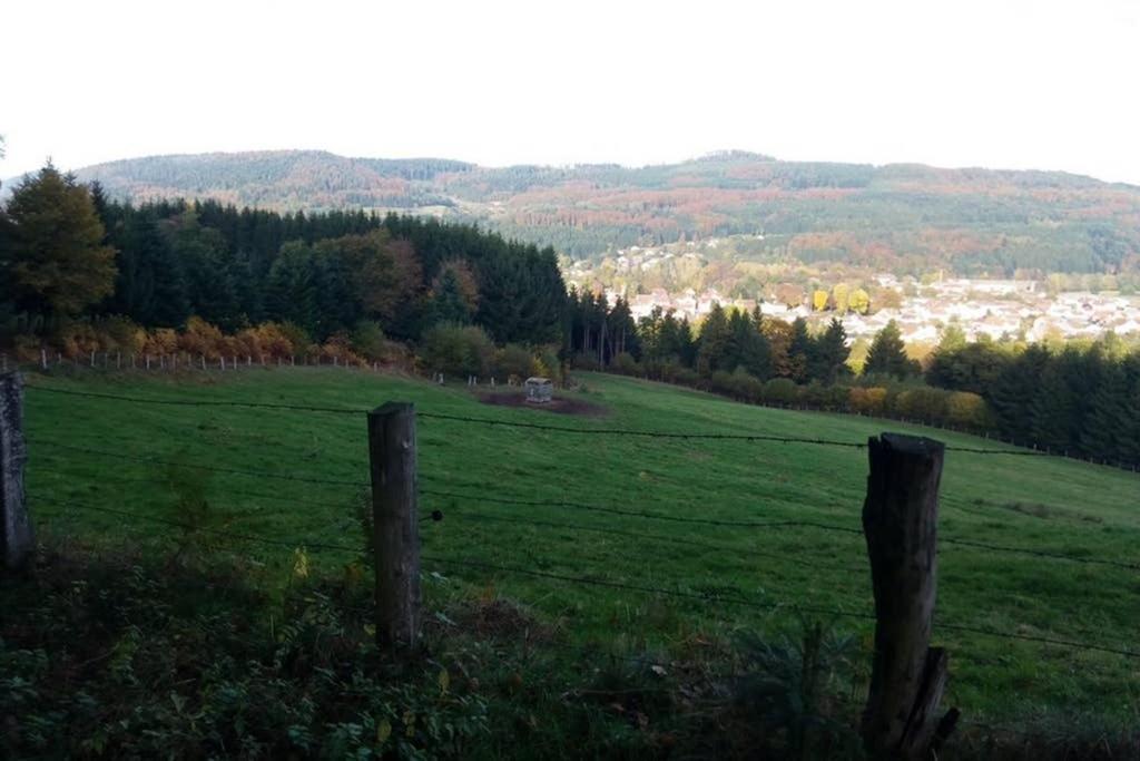 Granges-sur-Vologne Maison Independ. 6 Personnes A 10 Mn De Gerardmer מראה חיצוני תמונה
