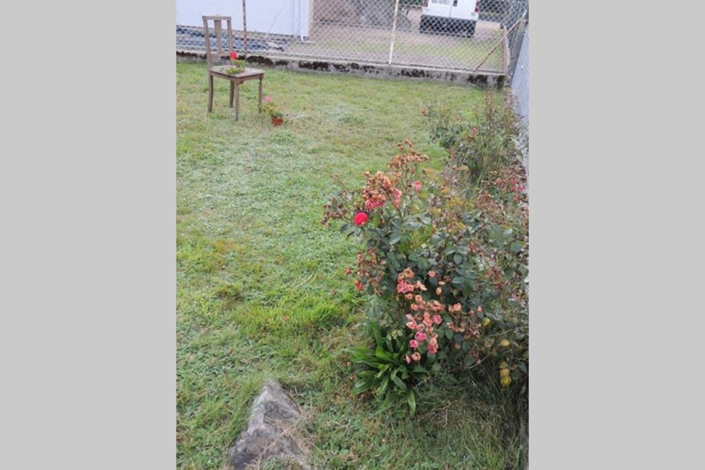 Granges-sur-Vologne Maison Independ. 6 Personnes A 10 Mn De Gerardmer מראה חיצוני תמונה