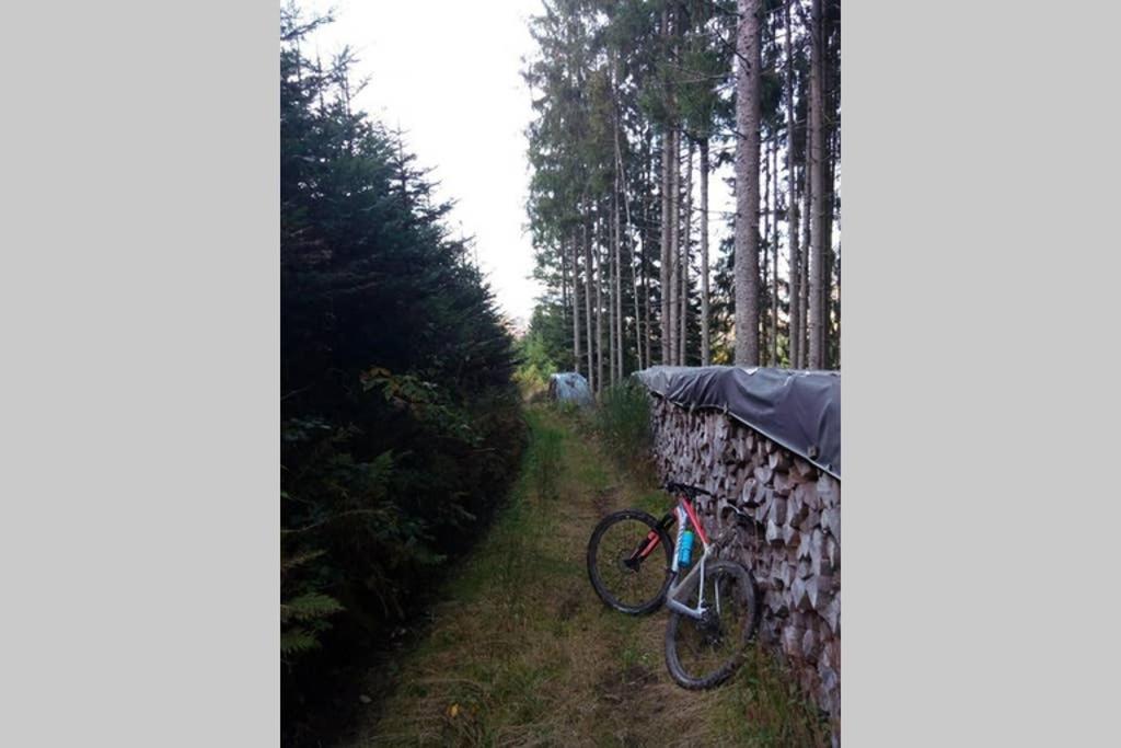 Granges-sur-Vologne Maison Independ. 6 Personnes A 10 Mn De Gerardmer מראה חיצוני תמונה