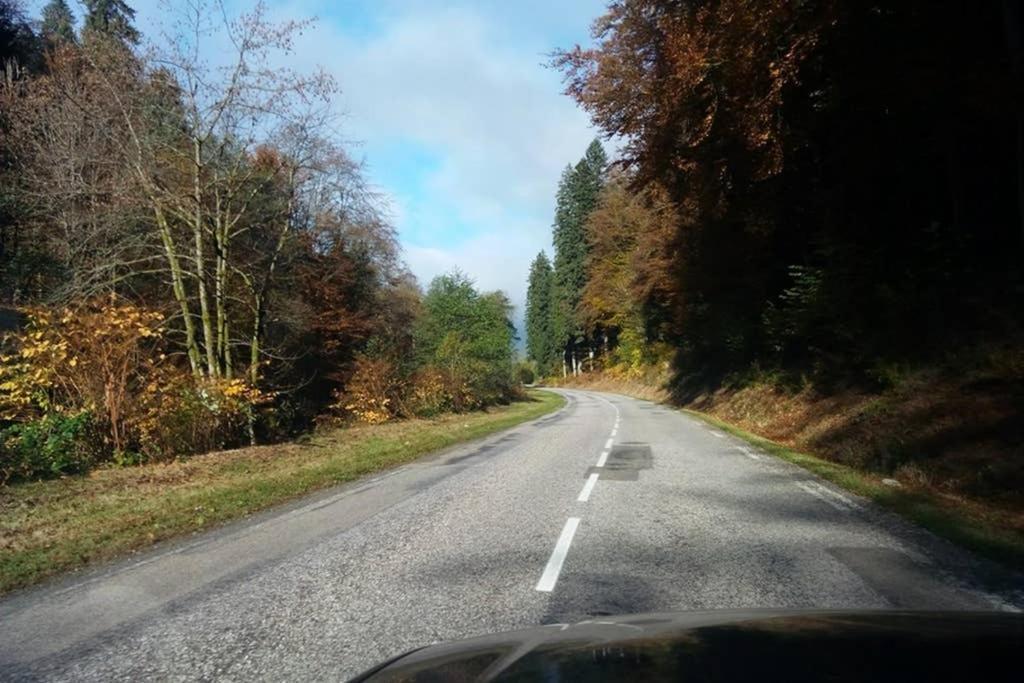 Granges-sur-Vologne Maison Independ. 6 Personnes A 10 Mn De Gerardmer מראה חיצוני תמונה