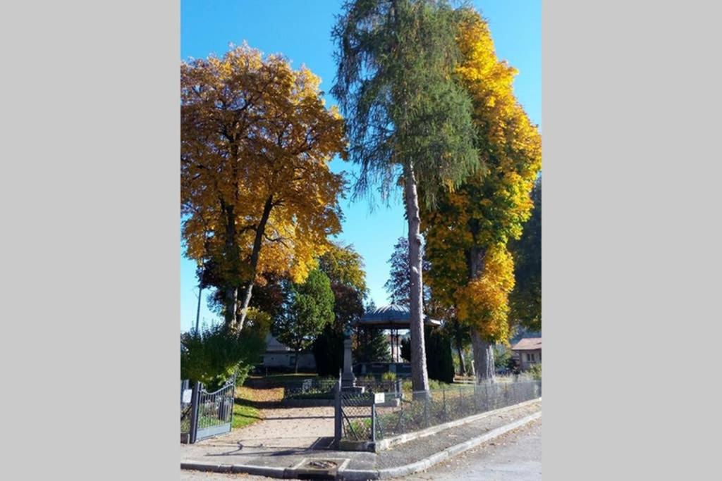 Granges-sur-Vologne Maison Independ. 6 Personnes A 10 Mn De Gerardmer מראה חיצוני תמונה